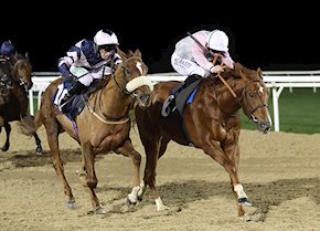 Kratos shows a fantastic attitude to win his second start at Newcastle