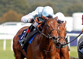 Stylistique impresses with easy Listed win at Deauville