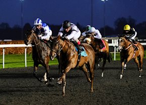 Mutahamisa breaks her maiden in Kempton novice