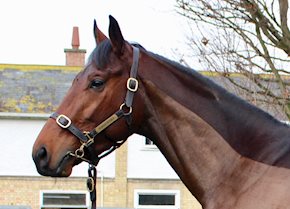 Father Of Jazz gallops to a smooth success at Wolverhampton