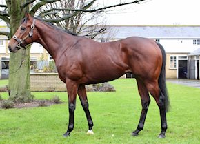 La Tihaty scores impressively on his second start