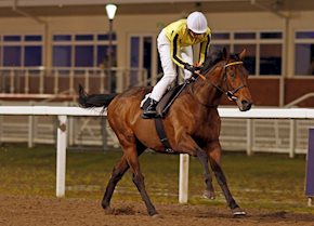 Father Of Jazz Continues Winning Form At Chelmsford
