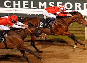 La Tihaty continues his winning streak in the Support The Injured Jockeys Fund Novice Stakes at Chelmsford.