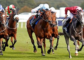 Stylistique takes to the track in Dubai