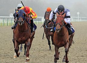 Mutahamisa goes one better than her last run and impresses with a win at Lingfield