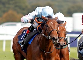 Stylistique returns to the track at Meydan this afternoon.