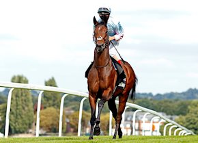 An exciting future for Stylistique as she finishes her track career in style