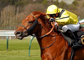 A blistering performance by Batraan and jockey Gavin Ashton at Notthingham