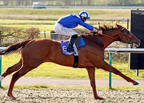 KHUZAAM preview in The Bet365 Mile at Sandown