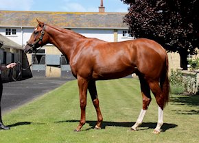 Shadwell's MALHOOB sheds his maiden tag with a smart performance at Thirsk.