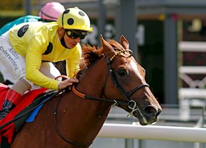 Stakes success for EL DRAMA at Chester