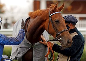 Group success as ZEYAADAH lands the G3 William Hill Hoppings Stakes in style