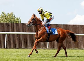 SED MAARIB makes his mark at Beverley