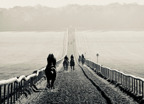 CLAIM THE CROWN dubbed king of the course at Chelmsford