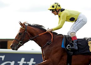 A stylish winning debut for SUBASTAR at Newmarket