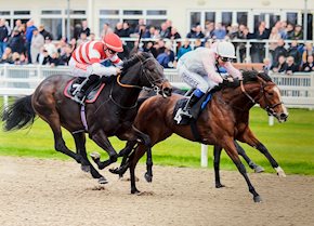 Varian Racing syndicate success for the much loved PRISM