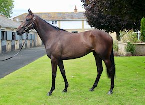 Jefferson and SOUND ANGELA off the mark at Kempton