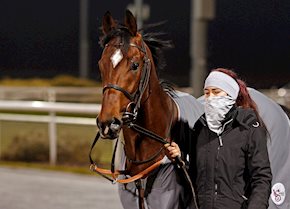 An impressive winning return for LA TIHATY in the feature race at Kempton