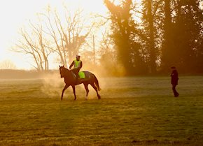 Winning debut for MUKADDAMAH