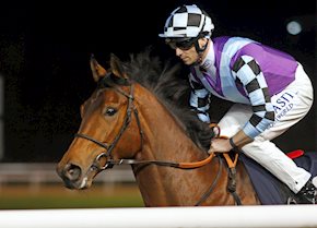 ILLUMINATED lights up the track at Wolverhampton