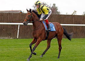 Kingman colt AKHU NAJLA impresses at Yarmouth