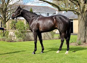 EYDON impresses in the 2000 Guineas and LIR SPECIALE breaks his maiden in style