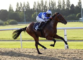 GREATGADIAN continues winning form at Chelmsford