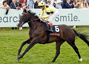 ROYAL CHAMPION lives up to his name at EPSOM