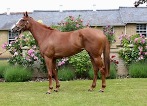 KIND GESTURE strikes at Wetherby to get off the mark at the second attempt