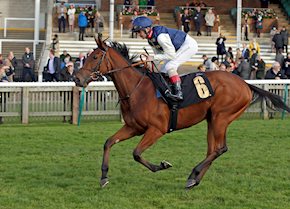 The winners keep coming as CONSENSUS DE VEGA scores at Lingfield