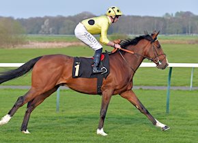 AIMERIC prevails to score at Chester