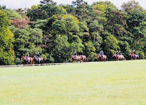 SHAMPION the Champion at Windsor