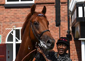 RUSSET GOLD puts in a smart performance to take the gold at Pontefract