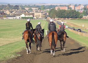 DOUX ESPRIT sheds his maiden tag at Southwell