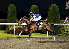 LIR SPECIALE wins at Kempton