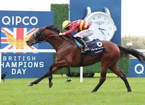 BAYSIDE BOY (IRE)