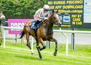 BONKERSINABUNDANCE bounds to victory at Brighton