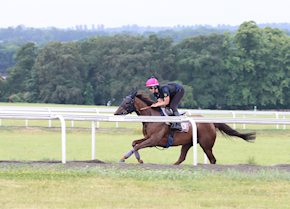 PEROTTO leads them home in the Coral Challenge