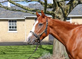 FLEURIR bolts up at Pontefract