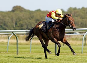 WARREN HILL and DEFIANCE make it a stable double!