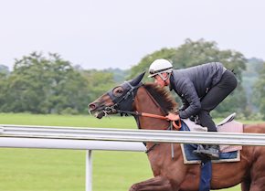 PEROTTO lands the Shergar Cup Mile in a thrilling finish