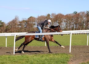 RED DANIELLE and MAGSOOD shed their maiden tags