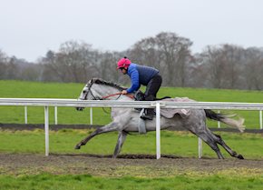 SHADOW DANCE wins on Handicap debut