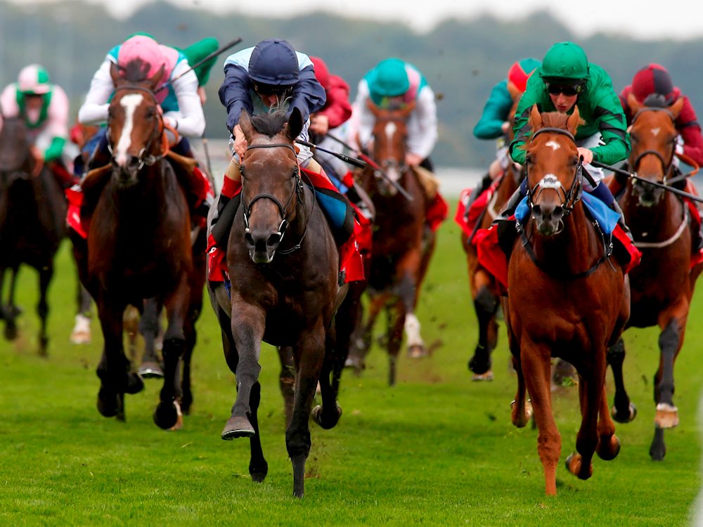 KINGSTON HILL (GB) Varian Stables
