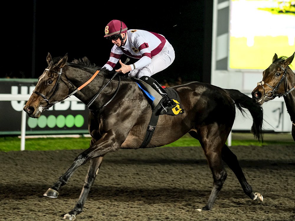 Winning debut for Delta's Royalty Varian Stables