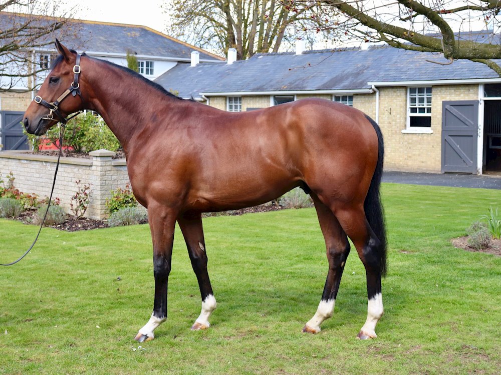 Coolmore’s JAZZ CLUB strikes a chord at Windsor - Varian Stables