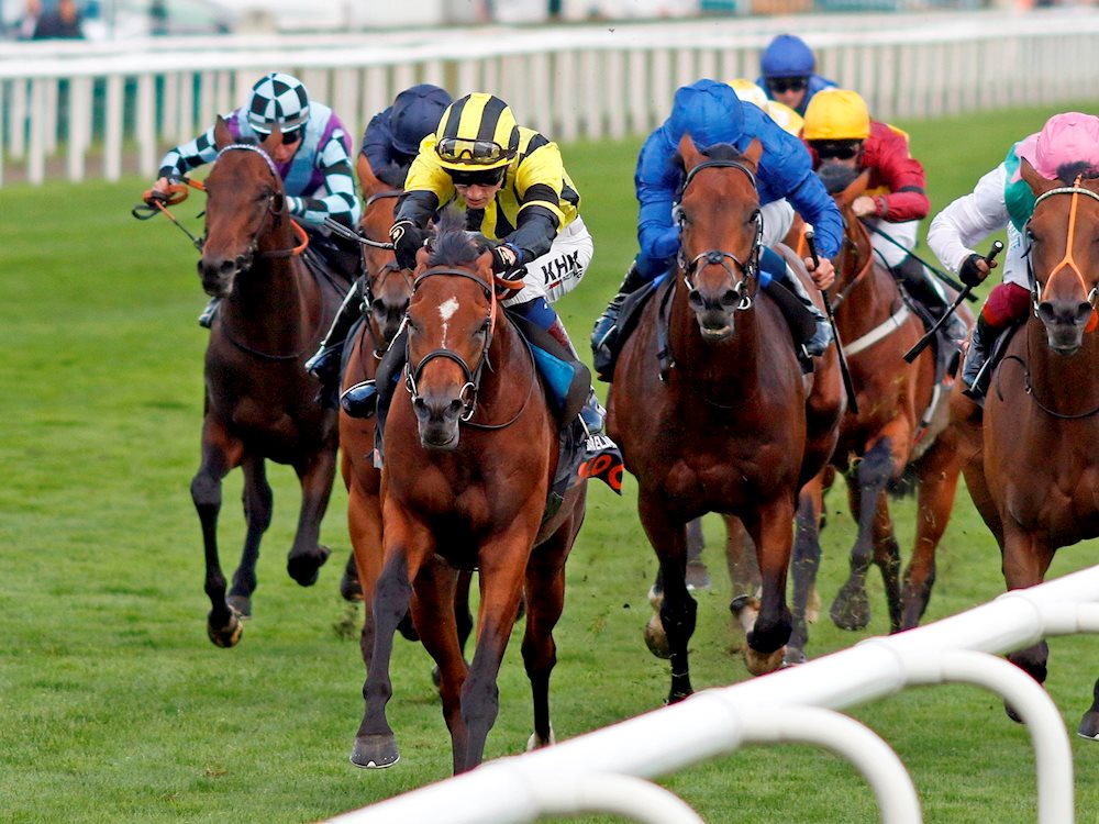 ELDAR ELDAROV (GB) - Varian Stables