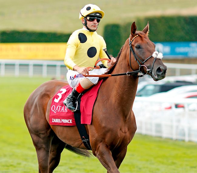 ZABEEL PRINCE (IRE)