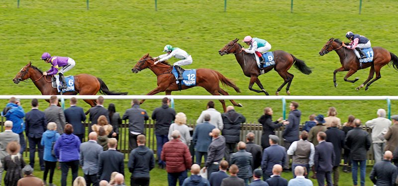 Invitational finishing second in the Listed Boadicea Stakes at Newmarket, 12 Oct 2019