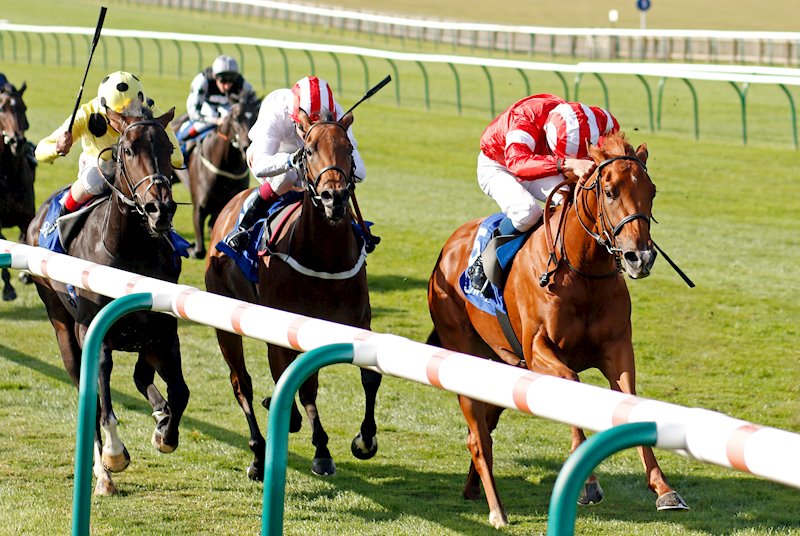 Daahyeh winning the G2 Rockfel Stakes, Newmarket